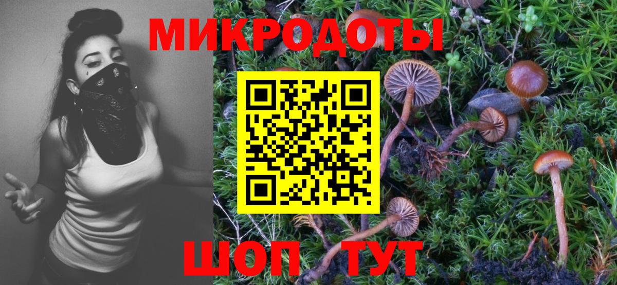 Псилоцибиновые грибы GOLDEN TEACHER Новочебоксарск